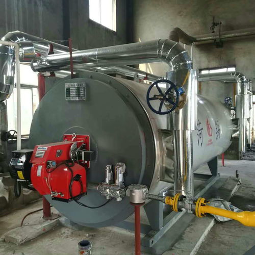哪家好 韶關(guān)燃氣自動化導熱油鍋爐廠家直銷,甲醛廢氣導熱油爐