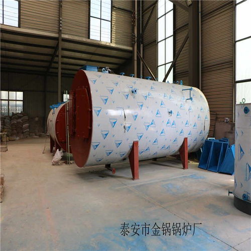 熱效率高 燃?xì)馀P式導(dǎo)熱油爐 食品加工燃?xì)忮仩t 十噸鍋爐